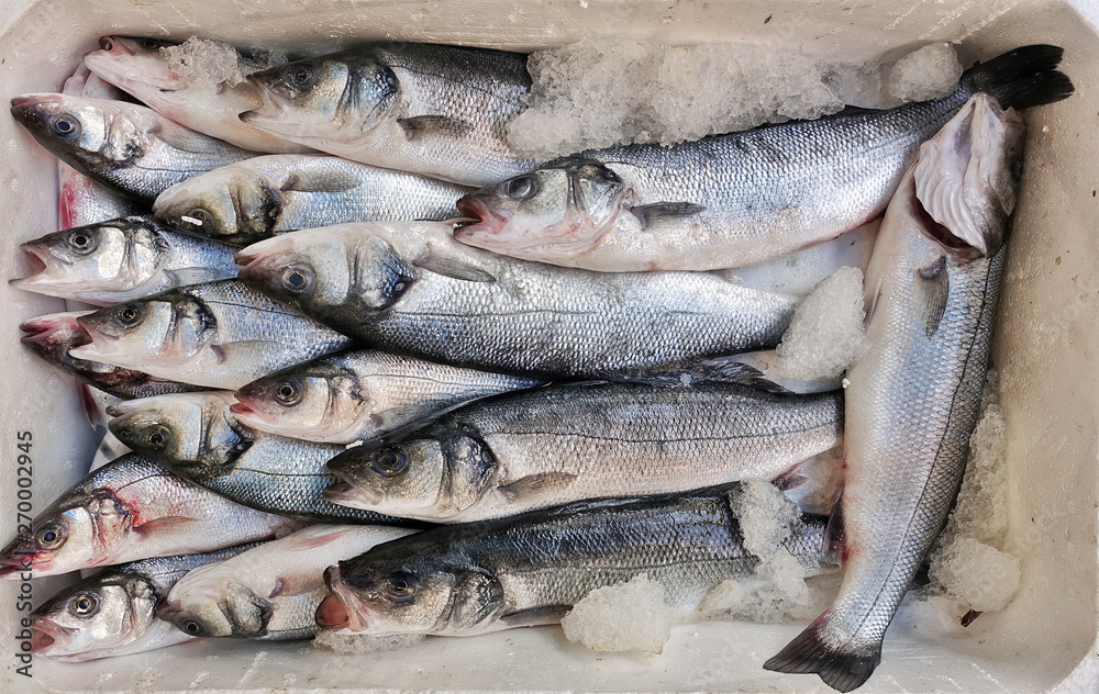 Fish Food in a Fish Market Stand Fish Food in a Fish Market Stand