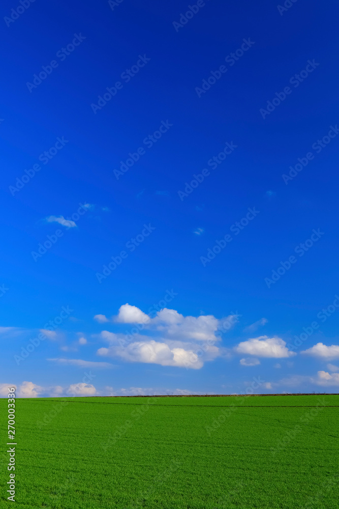 日本　北海道　草原と青空の絶景