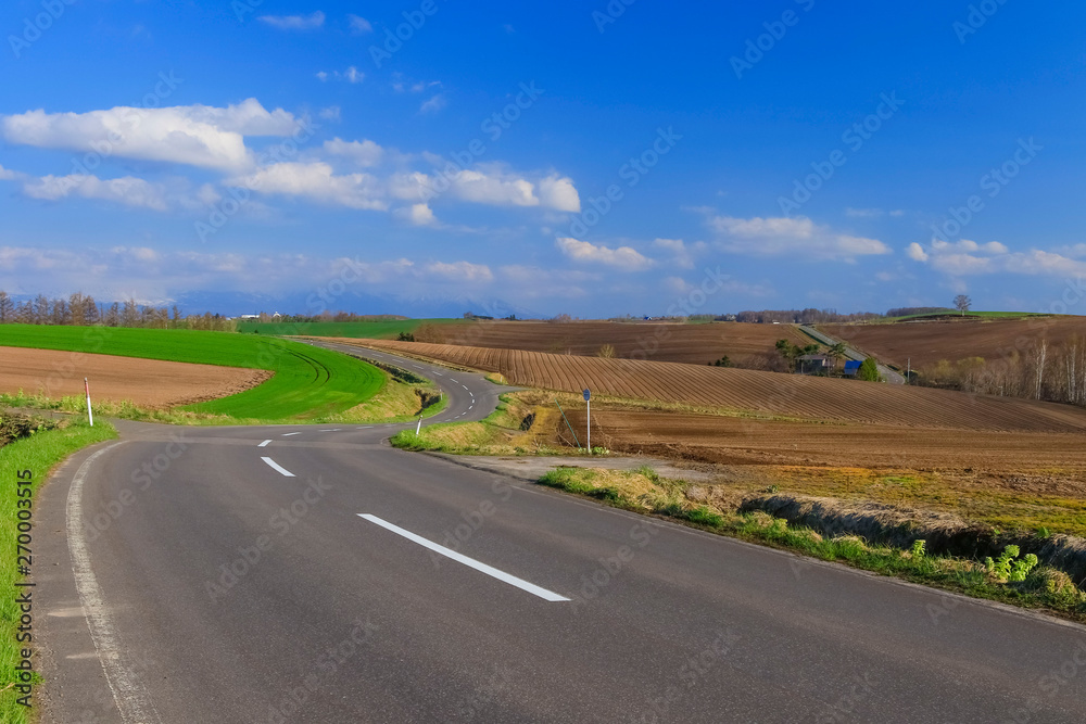 Fototapeta premium 北海道 絶景の田舎道