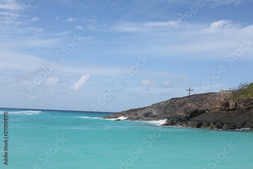 private island beach seychelles palm coconut sand sun