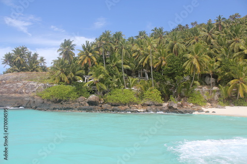 private island beach seychelles palm coconut sand sun