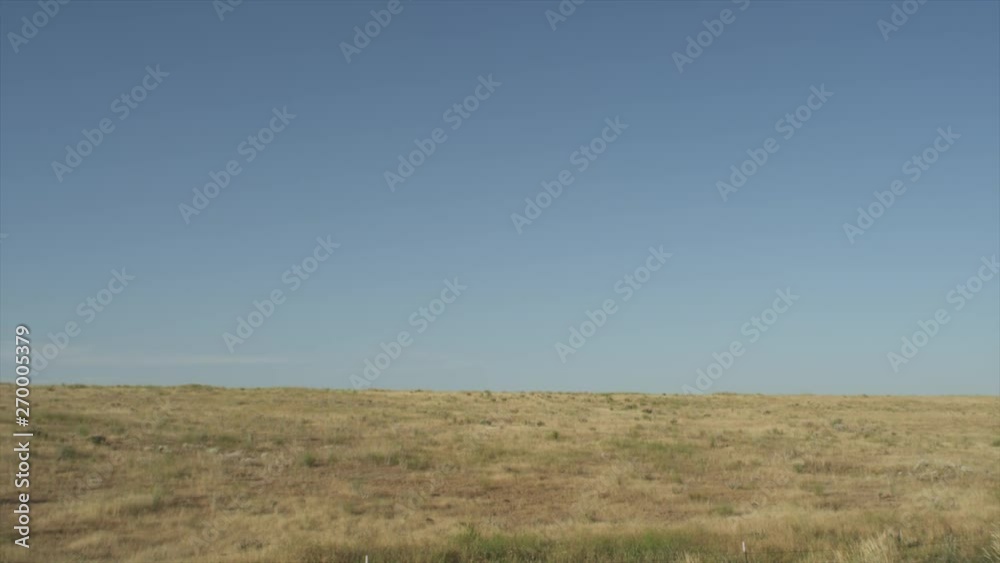dry desert rocky grassland landscape. slowly panning across a desolate scene as bugs flutter in the foreground dry desert rocky grassland landscape. slowly panning across a desolate scene as bugs flutter in the foreground