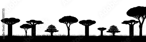 Silhouette of africa trees black on white background, vector illustration