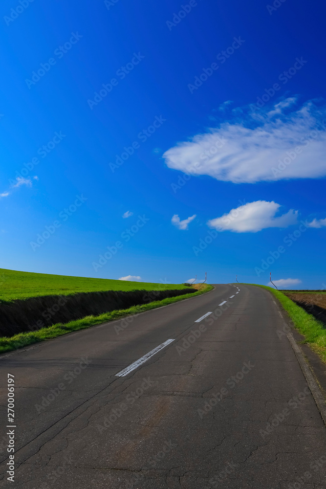 Naklejka premium 日本北海道 絶景へ続く道