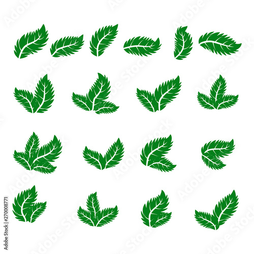 green leaf icons set on white background © MichiruKayo