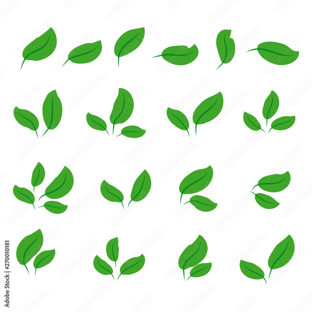 collection with green leaves in flat style for icons and graphic design collection with green leaves in flat style for icons and graphic design