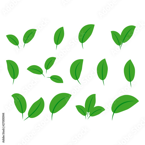 collection with green leaves in flat style for icons and graphic design