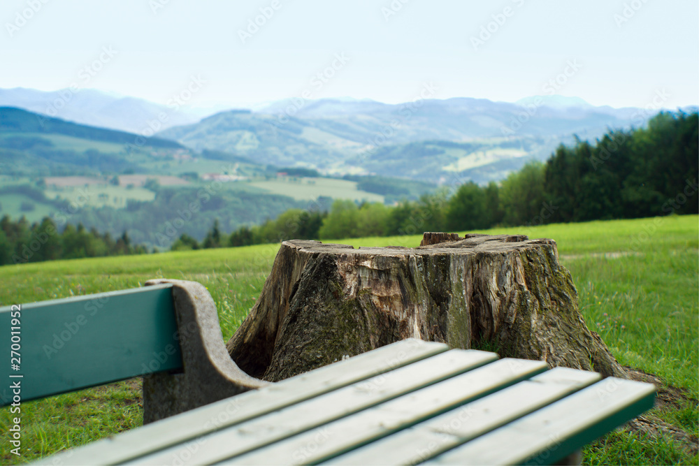 bench in the park, mountains