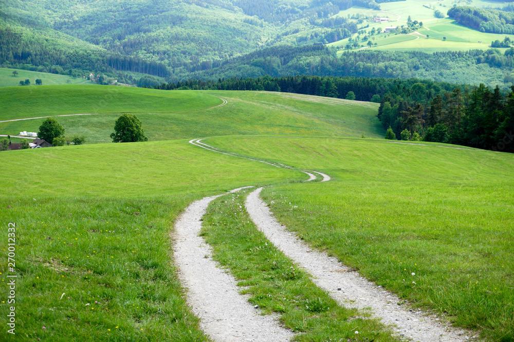 Obraz premium road in mountains