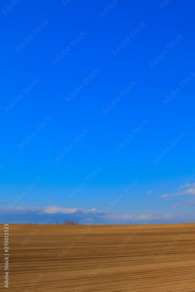 Fototapeta premium 北海道 広大な大地と青空