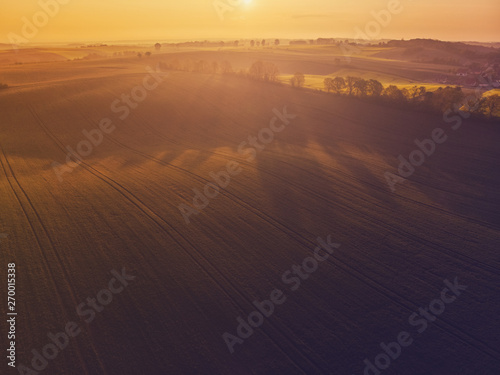 Aerial view of sunrise ofer green grain field