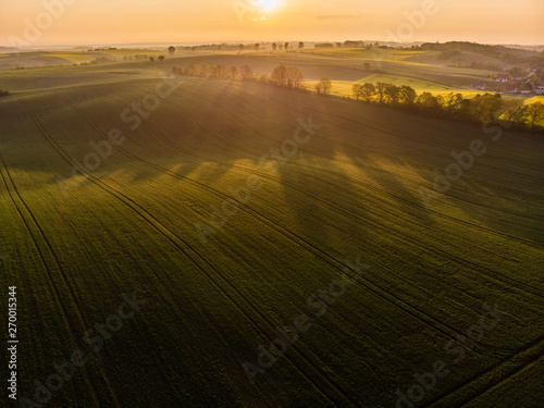 Aerial view of sunrise ofer green grain field