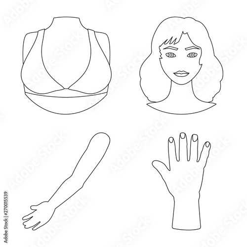 Vector illustration of body and part sign. Set of body and anatomy stock vector illustration.