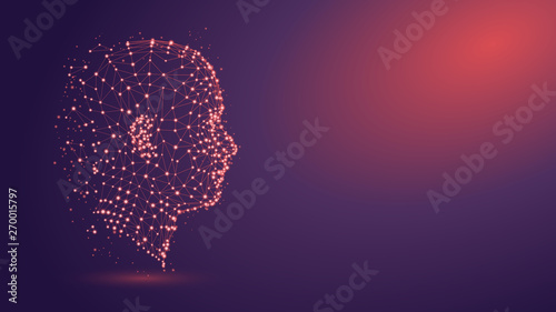 Human head with network plexus structure