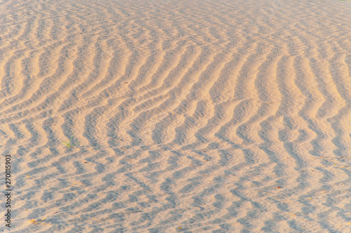 Wavy ripples in the sand