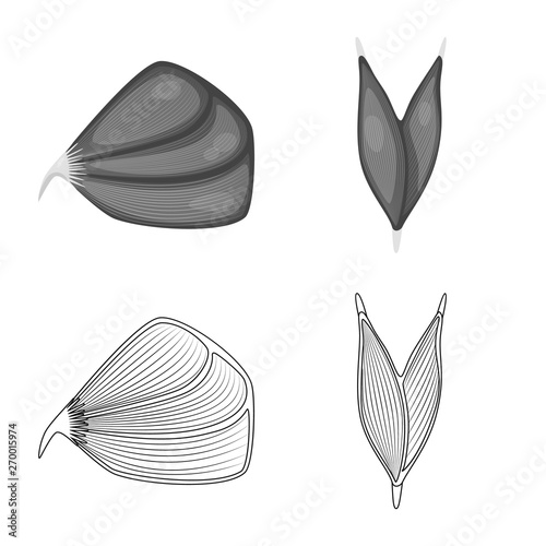 Isolated object of fiber and muscular sign. Set of fiber and body  vector icon for stock.