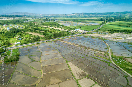 Rice fields in Kyrgyzstan photo