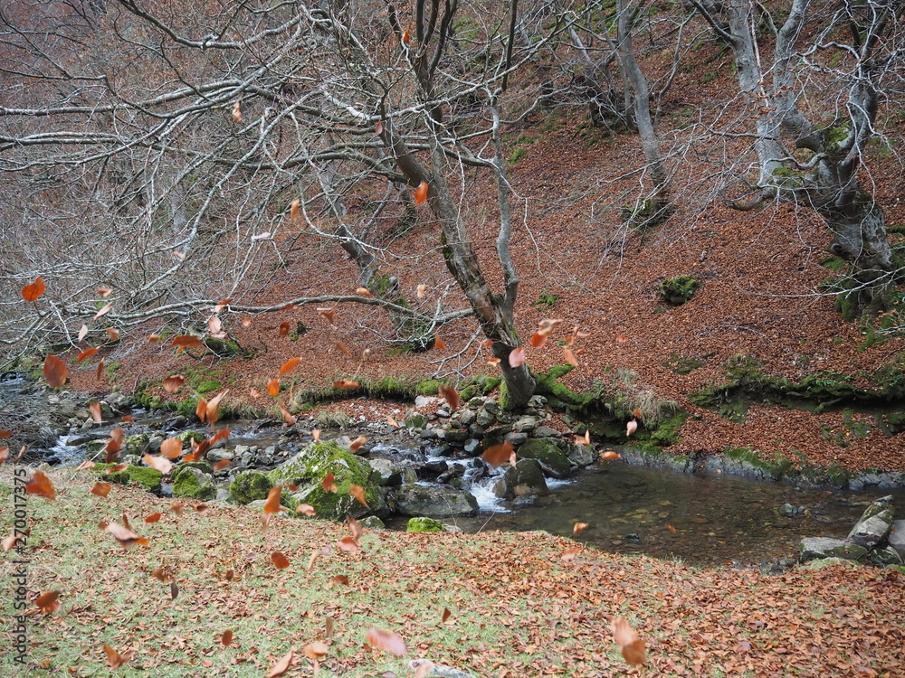 Obraz premium OLYMPUS DIGITAL CAMERA