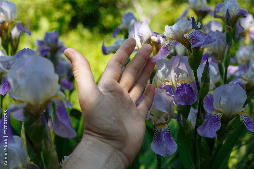 adult hand holding a flower