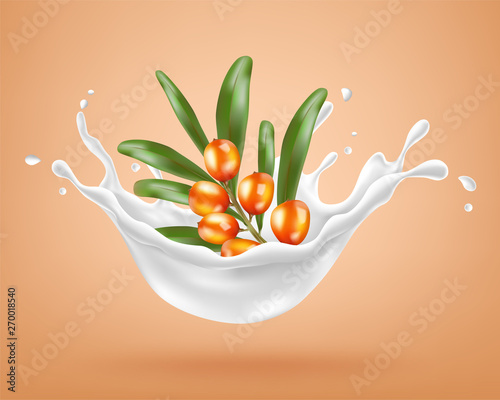 Sea-buckthorn berries and a cream splash. Vector illustration
