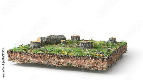 Fototapeta Naklejka Na Ścianę i Meble -  Stump with leaves isolated on a white. 3d illustration
