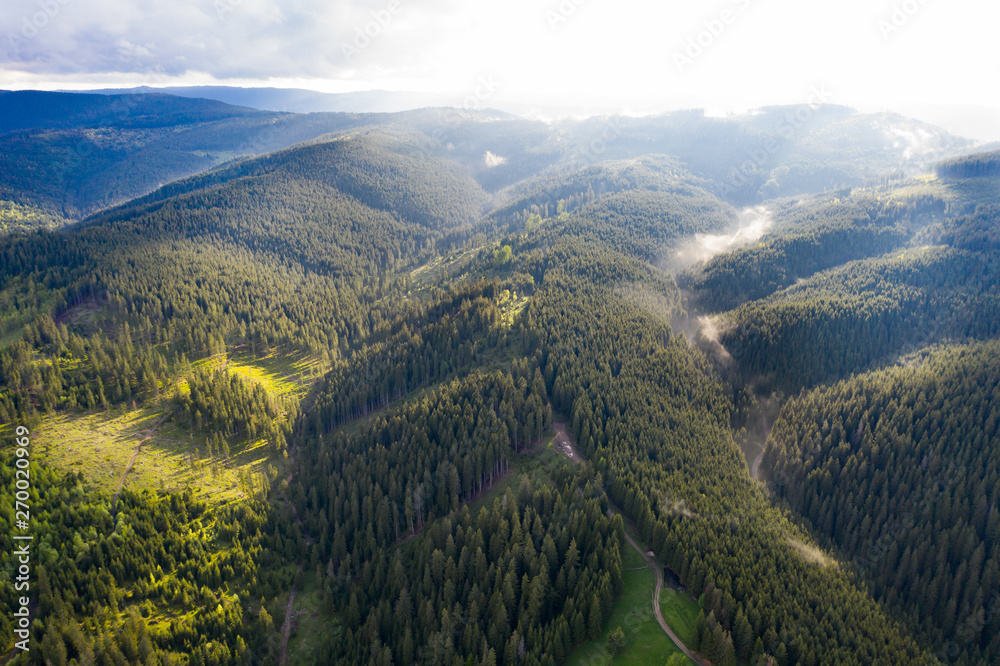 Green forests in Transylvania, top view.