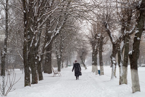 walking in the park © Andrii Vasyliuk