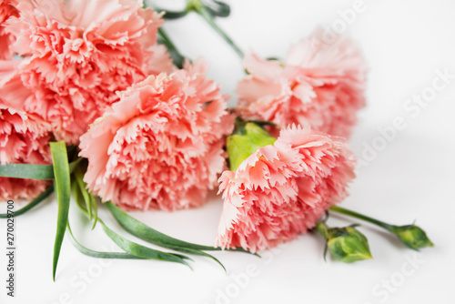 Bouquet of pink carnations © epitavi