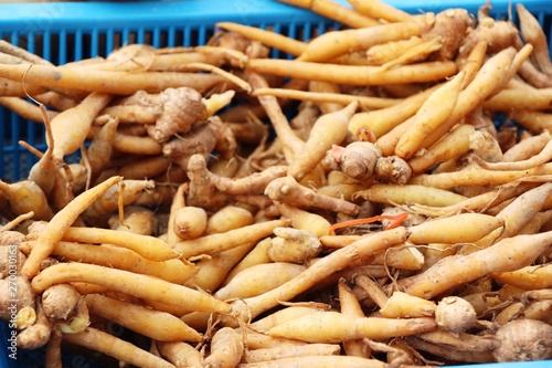 Ginger root for cooking in the market
