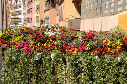The colorful flowers are in front of the apartments.