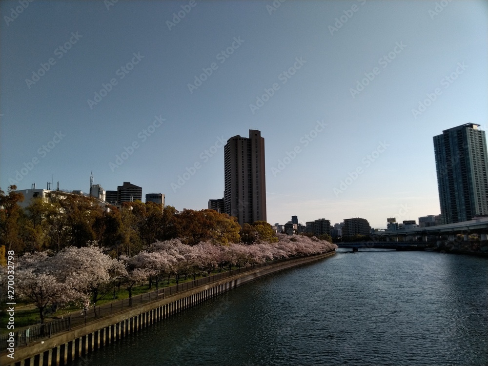 Fototapeta premium 旅行