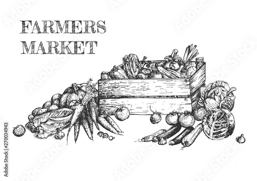 Fresh organic food from farm set