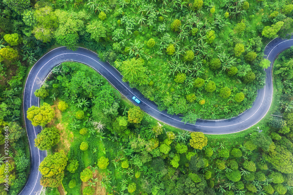 Aerial view on road in the forest. Highway throu the forest. View from a drone. Natural landscape in summer time from air. Travel - image