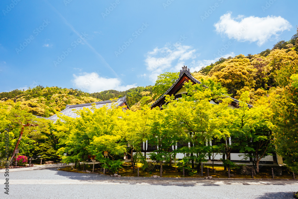 Obraz premium Eikando Temple in Kyoto Japan