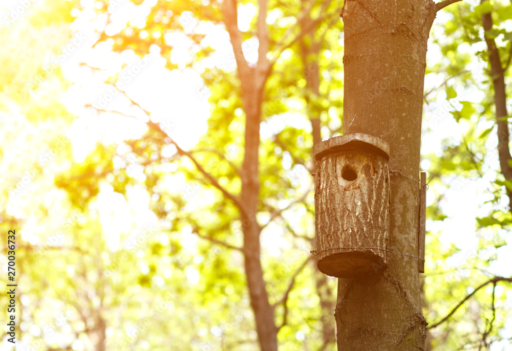 tree house for birds on the tree, birdhouse from the tree for wintering birds