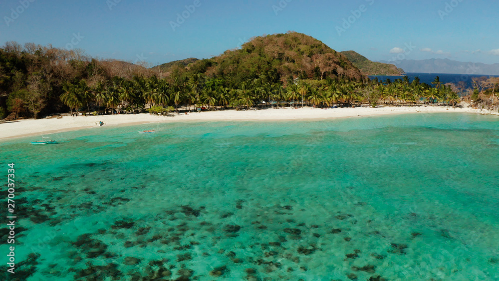 aerial view beach with tourists on tropical island, palm trees and clear blue water. Malcapuya, Philippines, Palawan. Tropical landscape with blue lagoon