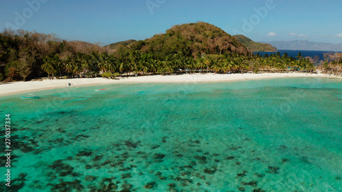 aerial view beach with tourists on tropical island, palm trees and clear blue water. Malcapuya, Philippines, Palawan. Tropical landscape with blue lagoon © Alex Traveler
