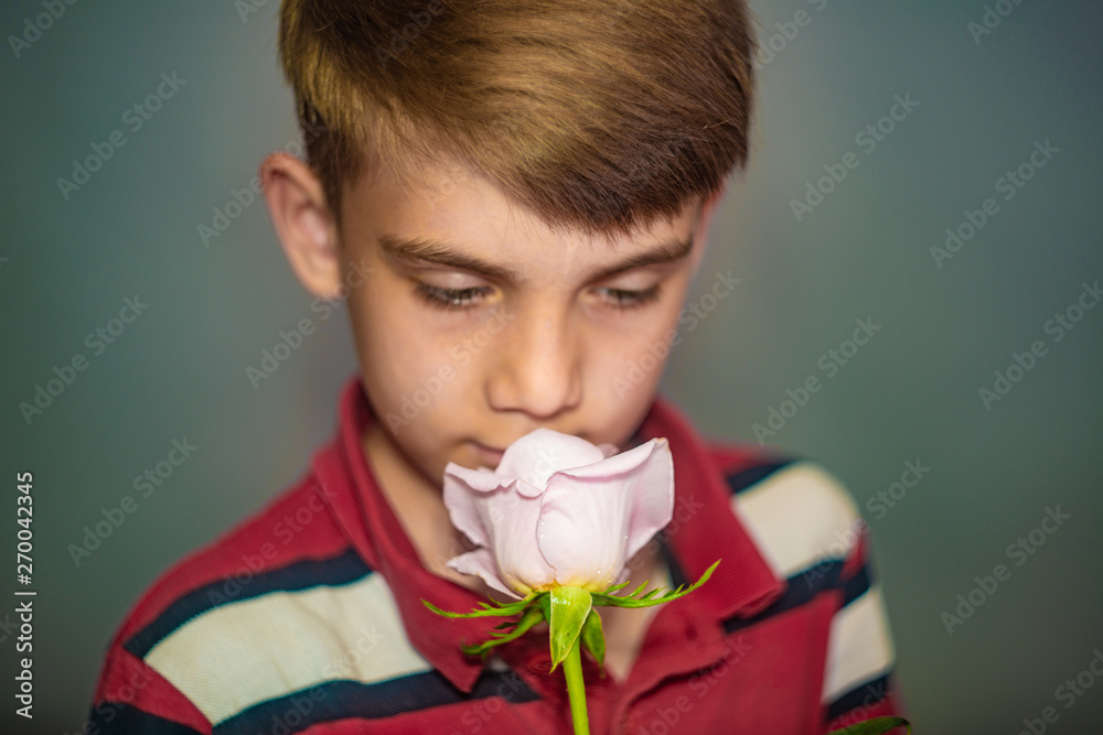 The boy holds a rose in his hand and sniffs it, the concept of love and celebration and celebration. The boy holds a rose in his hand and sniffs it, the concept of love and celebration and celebration.