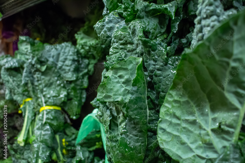 A background filled with green kale A background filled with green kale