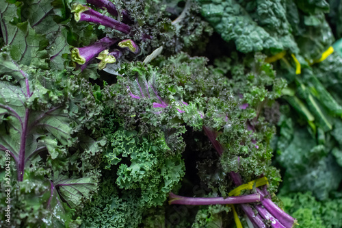A background filled with purple kale