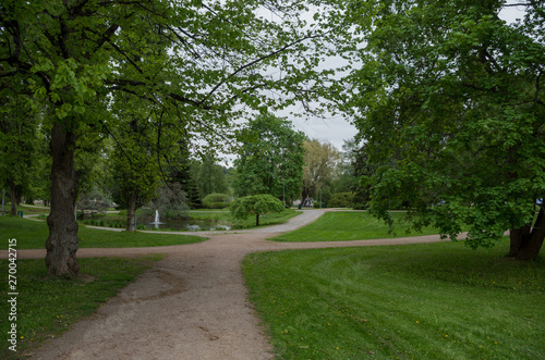 Fototapeta Naklejka Na Ścianę i Meble -  paths in the park