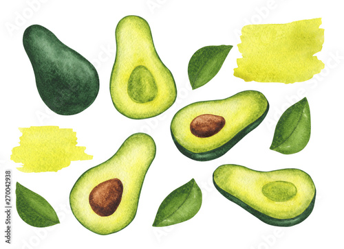 set of watercolor avocados and leaves