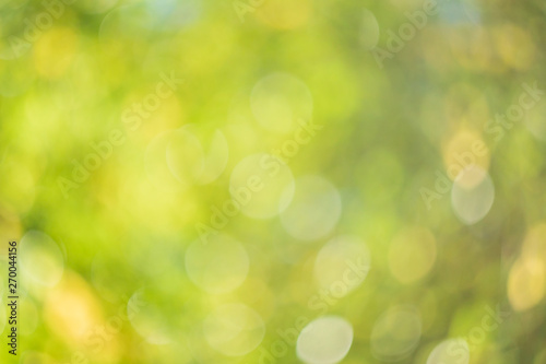 Abstract blurred green nature background.