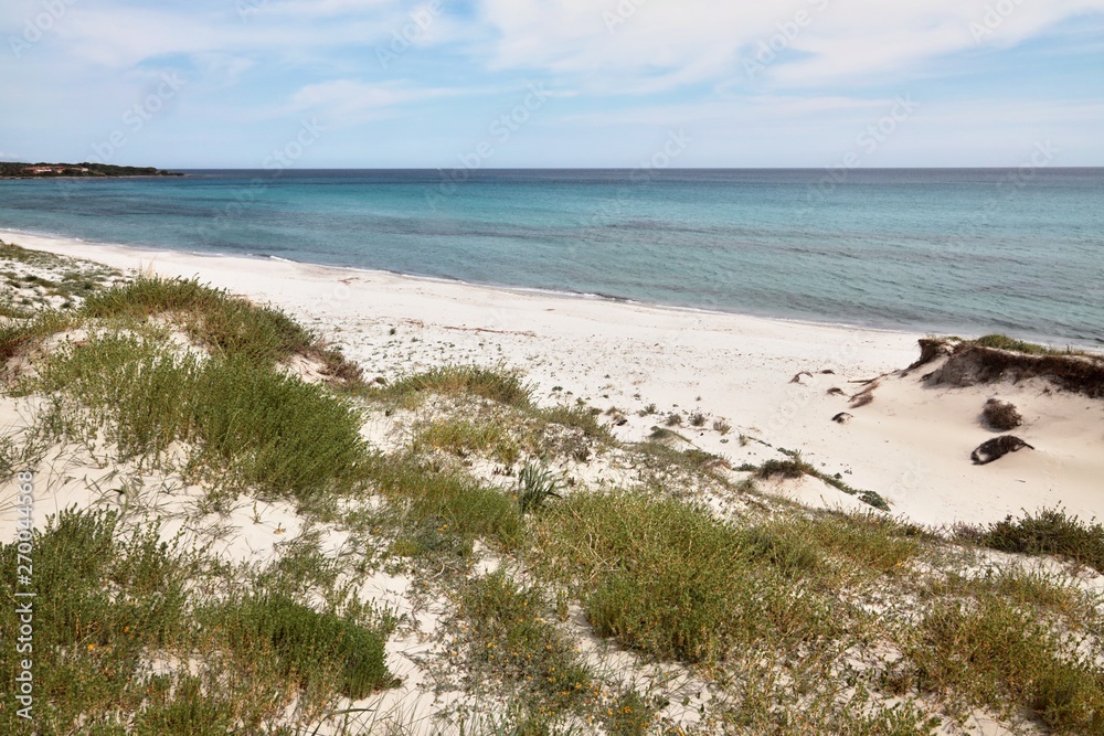 Dune di Capo Comino