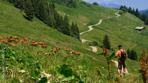 Venez vous balader dans les alpes ! photo