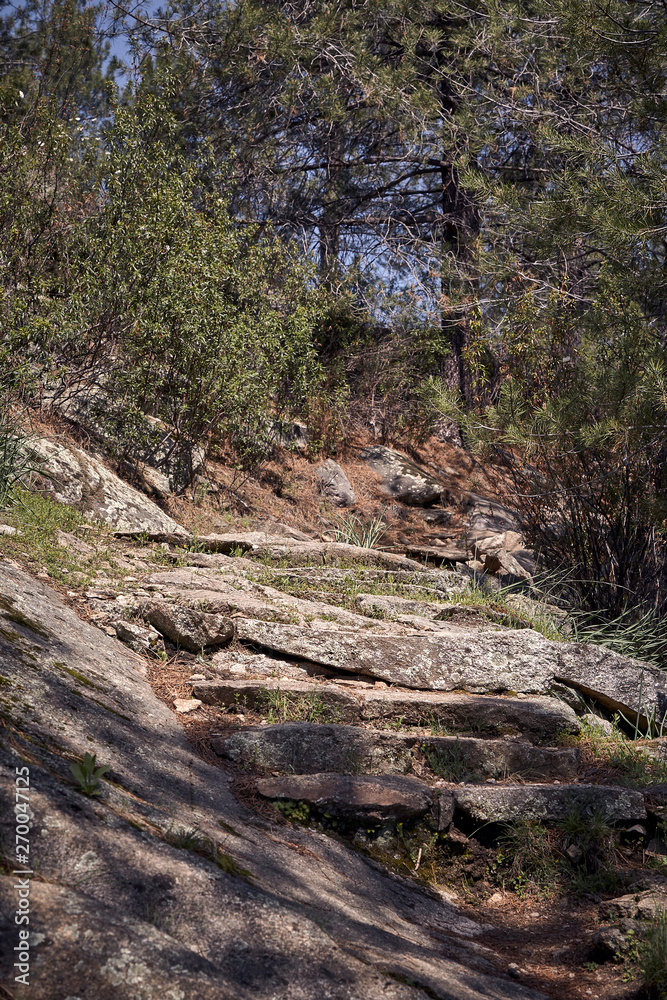 path on the side of a mountain