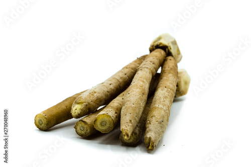 Tumicuni galingale krachai root isolated on white background photo