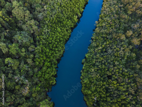 aerial view of river in jungle forest in Asia, beautiful nature landscape from above, top down