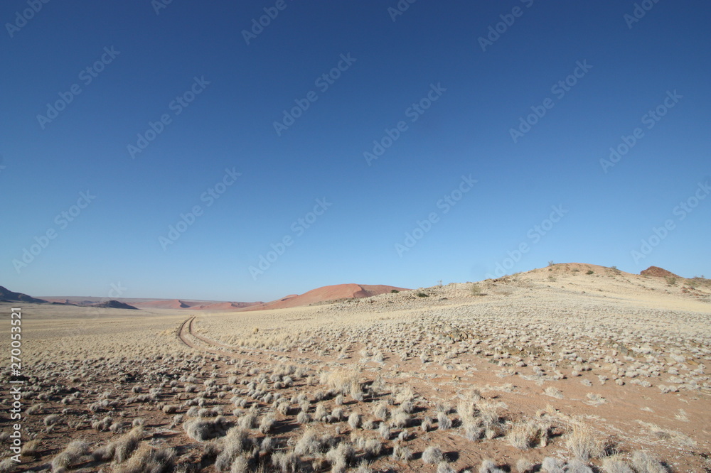 Desert landscape with farm track