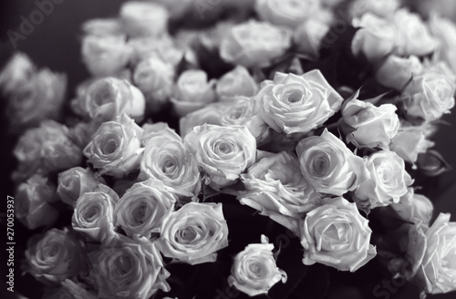 Beautiful bunch of black and white roses close up picture. Selective focus.
